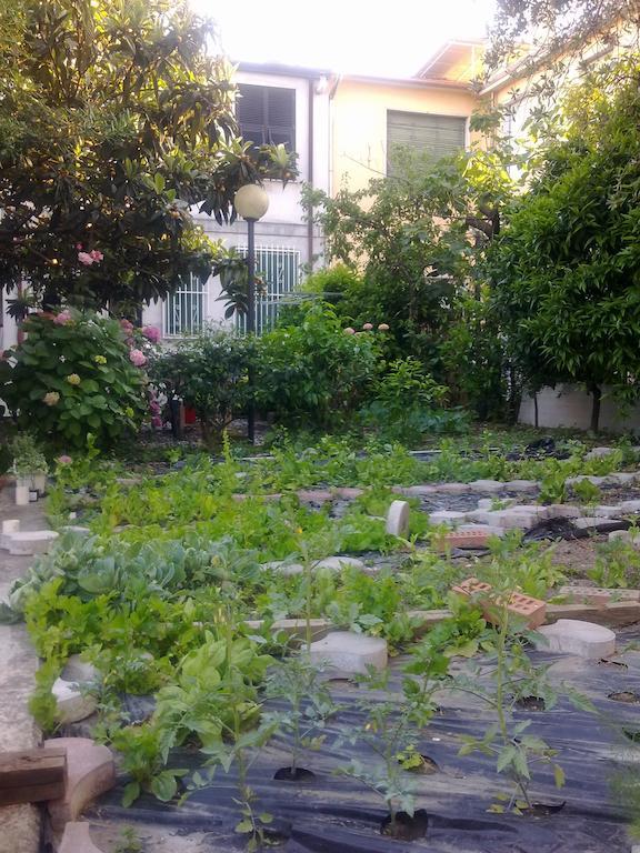 Eco B&B I Due Oleandri Marina Di Carrara Zewnętrze zdjęcie