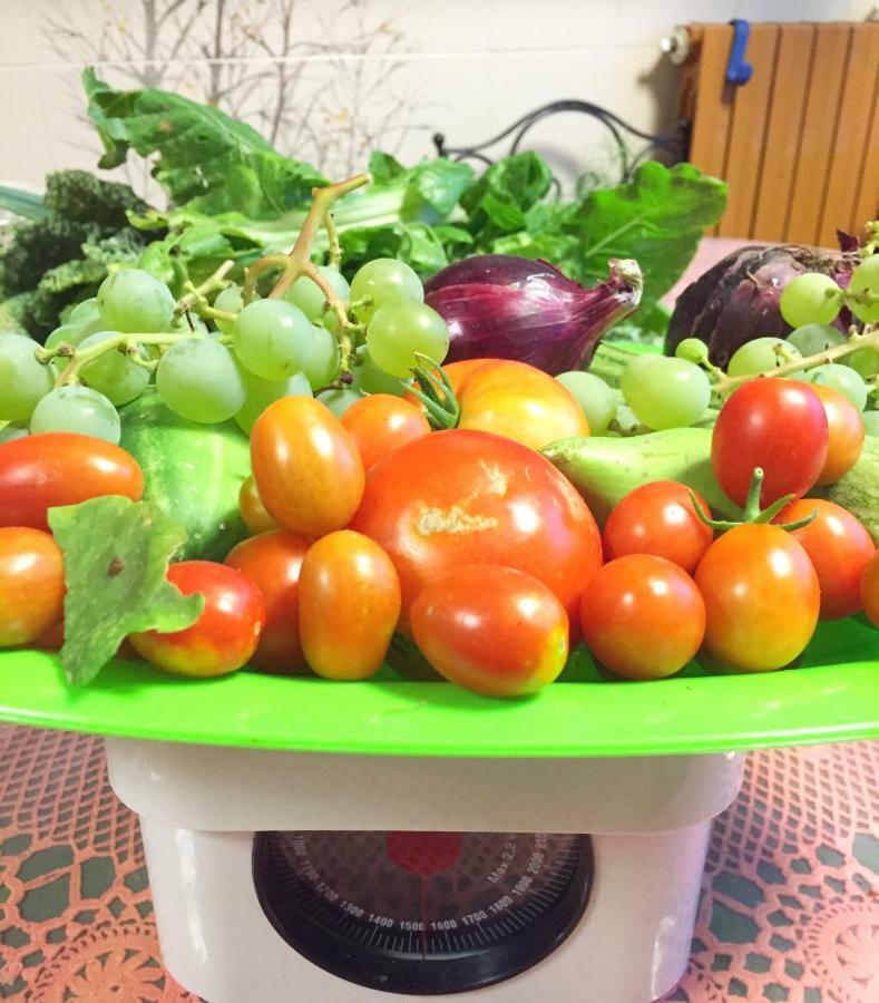 Eco B&B I Due Oleandri Marina Di Carrara Zewnętrze zdjęcie
